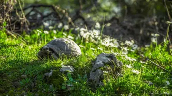 Фотосессия в Мармарисе